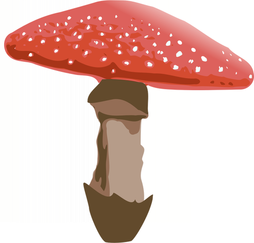 Röd svamp med prickar