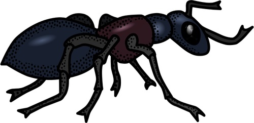 Colored ant line art vector graphics