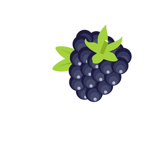 검은 딸기 과일