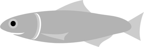 Ansjovis vissen