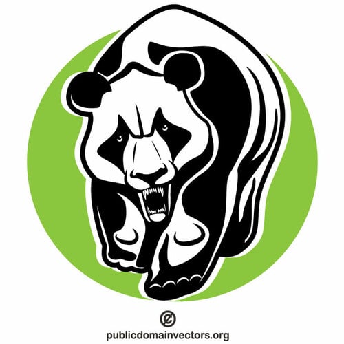 Orso panda arrabbiato