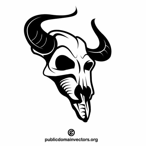 Animal skull vector image