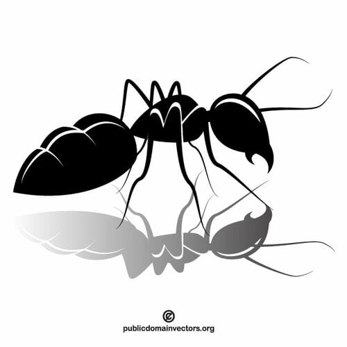 चींटी वेक्टर क्लिप आर्ट छवि