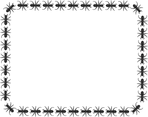 Vector drawing of ant pattern rectangular border