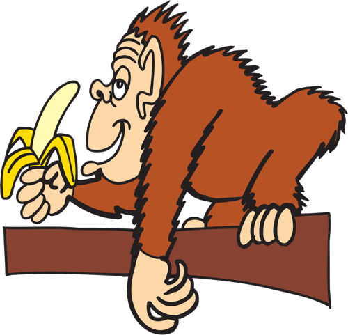 Ape spiser banan