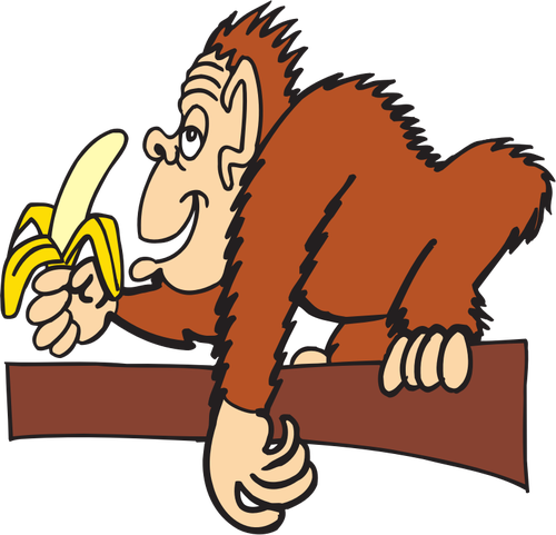 Ape eating banana