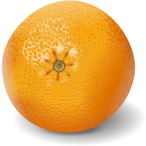 Orange frukt ClipArt