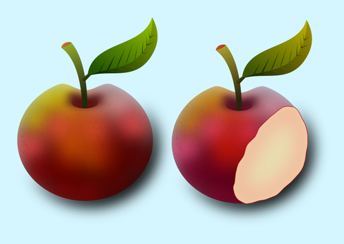 Obraz dwa jabłka