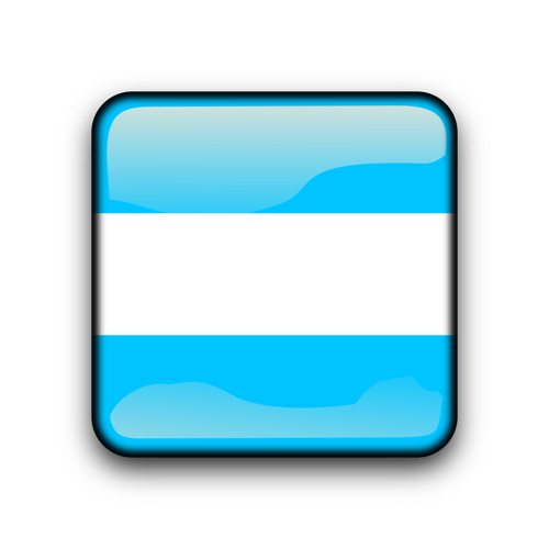 Argentyna przycisk błyszczący flaga