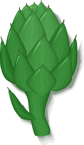 Plant d’artichaut