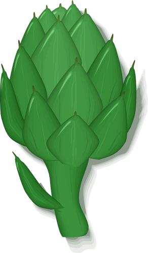 Artichoke plant