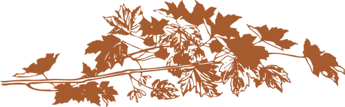 Ilustracja wektorowa brązowy jesień liści