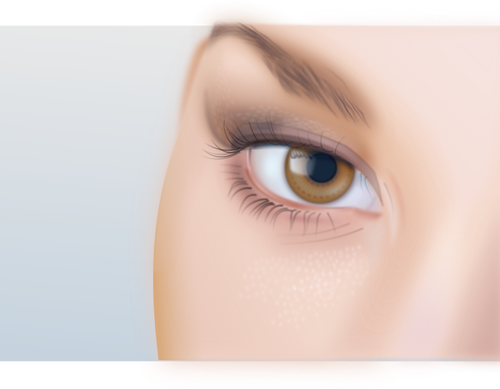 Vektor Menggambar Mata wanita dengan detail yang ekstrim