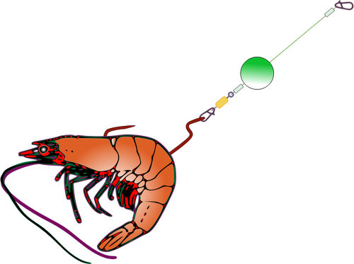 Rybářské návnady s krevetami