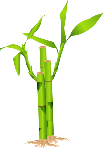 Closeup of bamboo stalk vector illustration