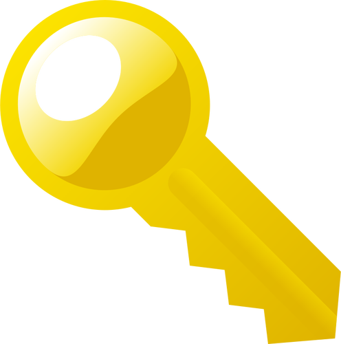 Key vector icon