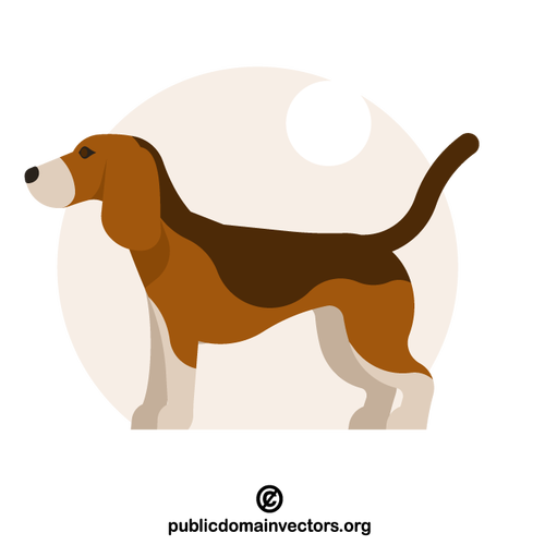 Perro Beagle