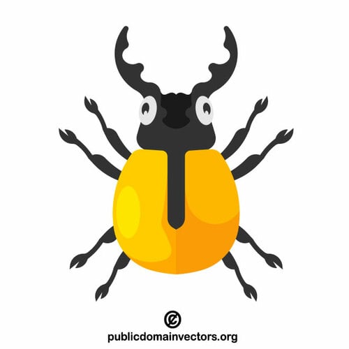 Beetle bug