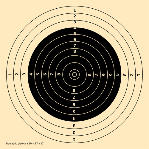 10m pistol shooting target vector image