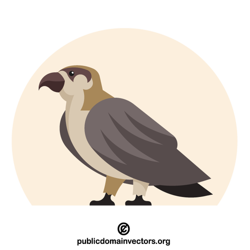 bird-falcon.png