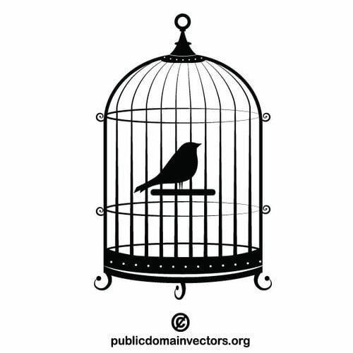 Pájaro en una jaula