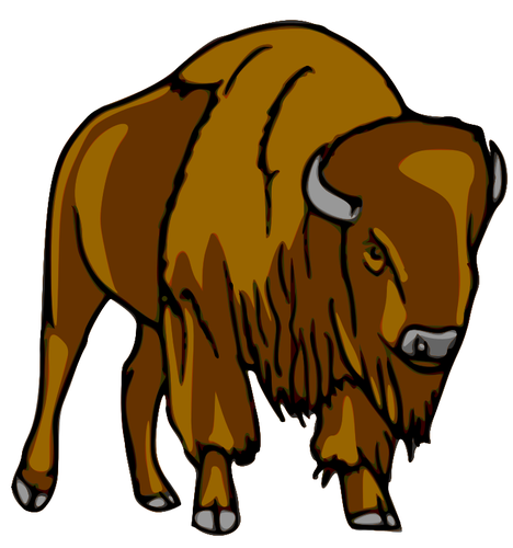 Hnědé bizon, kresba