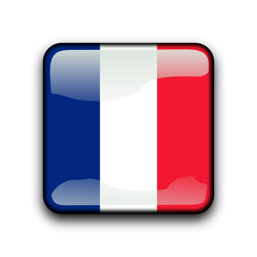 Saint Barthélemy vector flag button