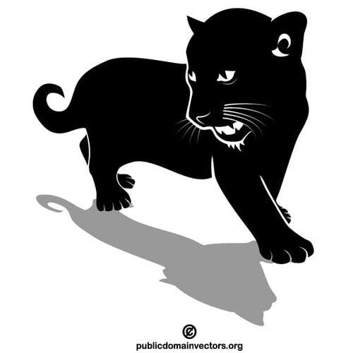 חתולה פראית שחורה