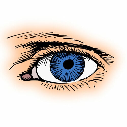 Oeil bleu