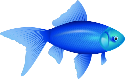 Vektor ilustrasi ikan mas biru