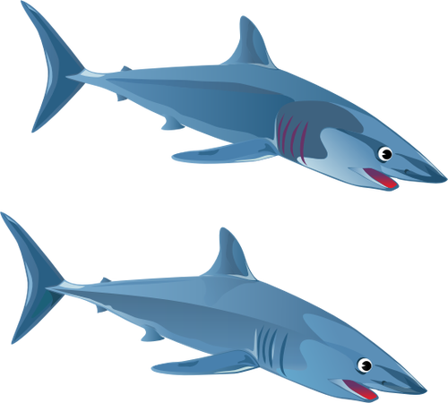 Two sharks