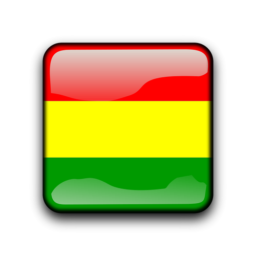 Botão de bandeira brilhante de Bolívia