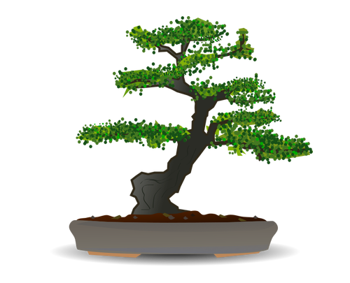 Bonsai copac de desen vector