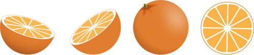 Vector image of selection of orange pieces