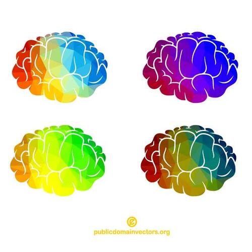 صورة ظلية للدماغ البشري