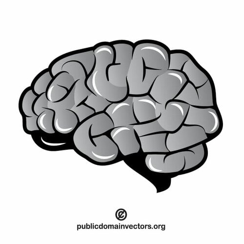 Clipart de cerveau humain