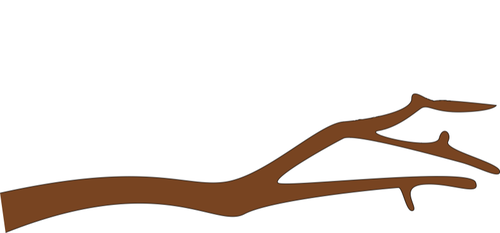 Branch silhouette