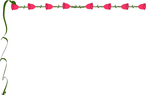 Rose border