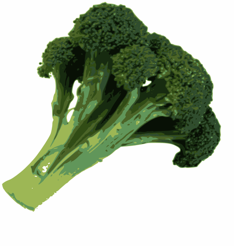 Imagen fotorrealista vector de brócoli