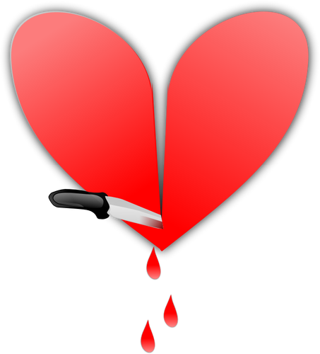 Heart sliced with a knife vector image