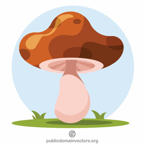 Brown mushroom