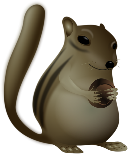 Chipmunk vector image