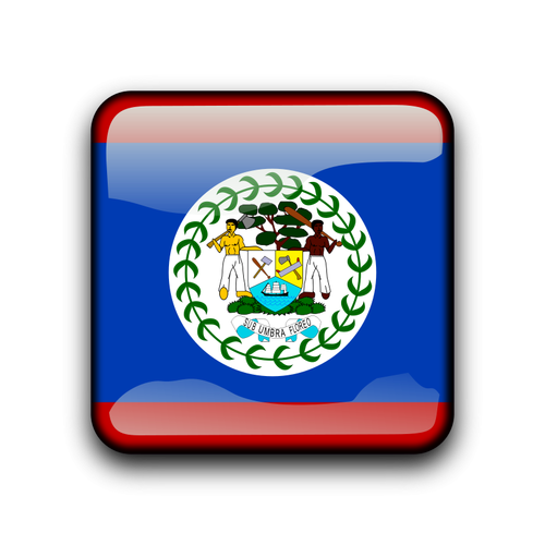 Botón de bandera Belice vector