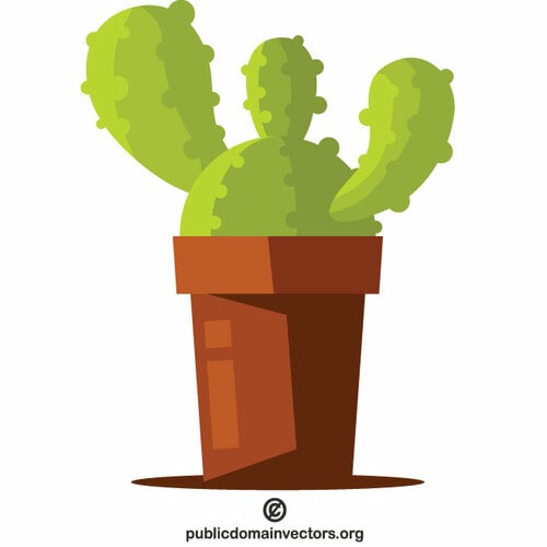 Flor de cactus en una olla