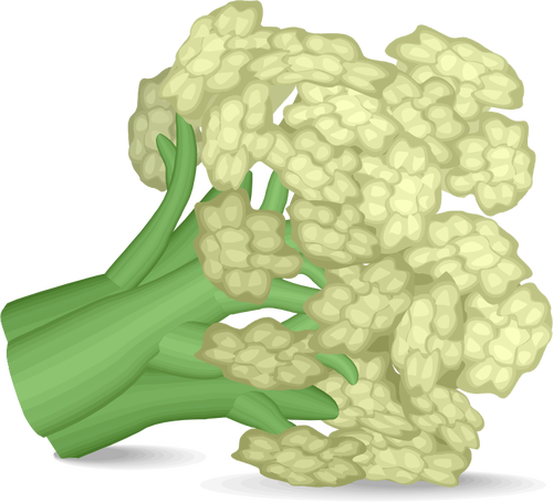 Ícone de couve-flor