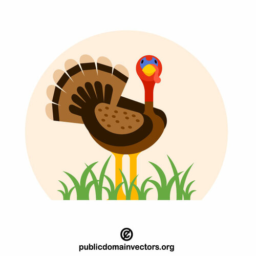 Cartoon turkey vector image