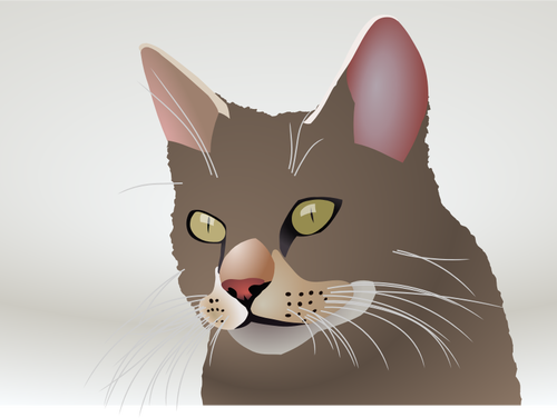 Vector image of a cat