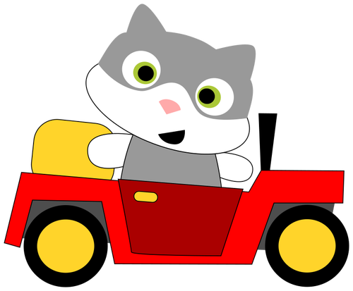 Katt kör bil