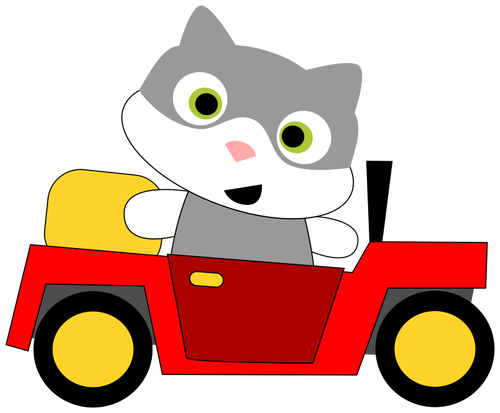 Cat driving a car