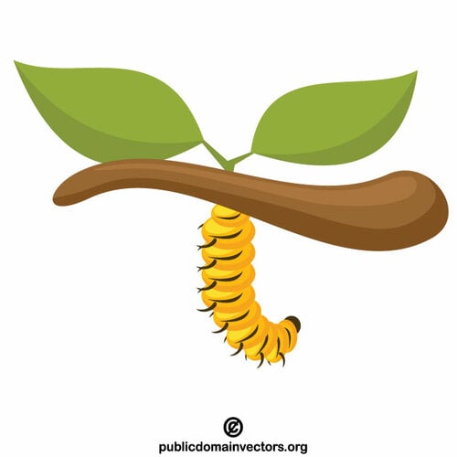 Caterpillar en una rama de árbol